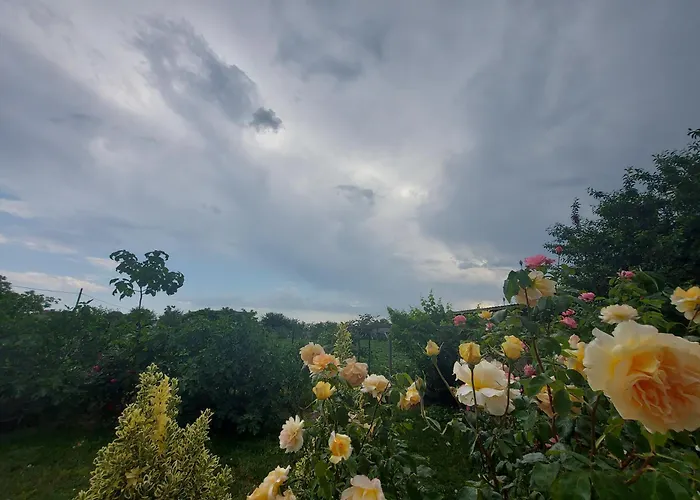 Villa Romelia - Select Apartments