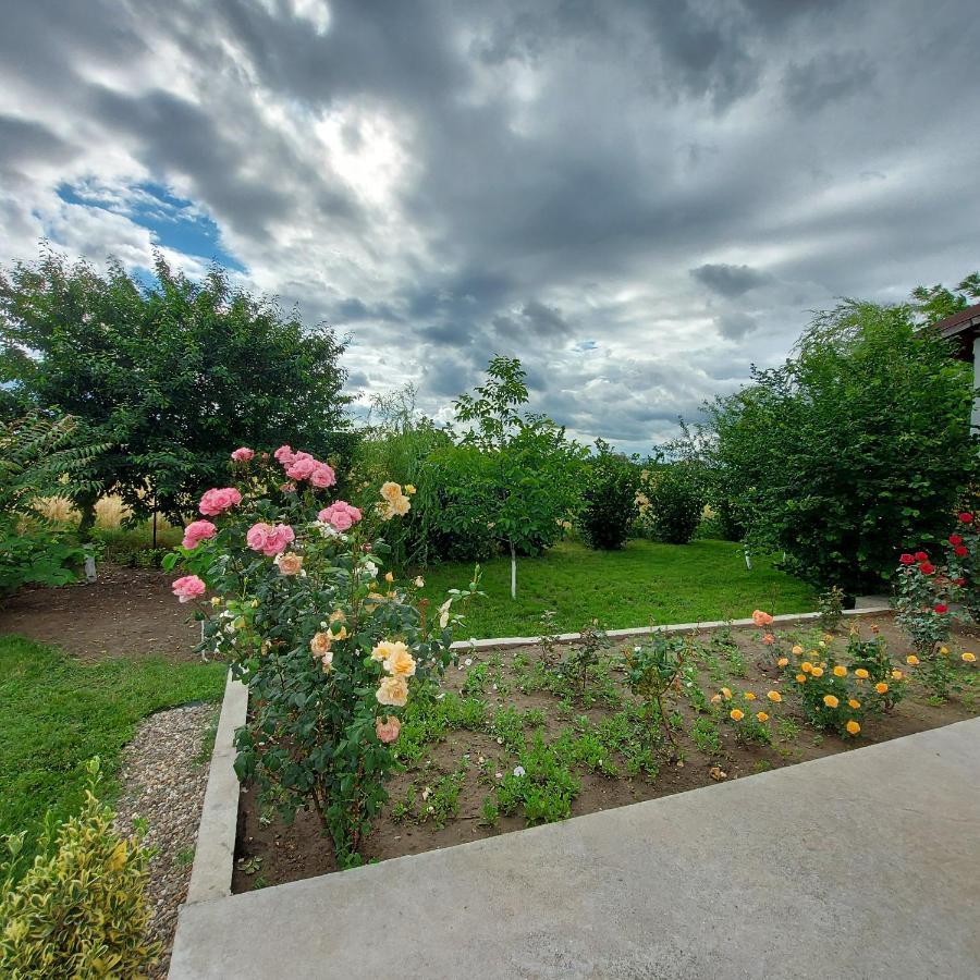 Romelia - Select Villa