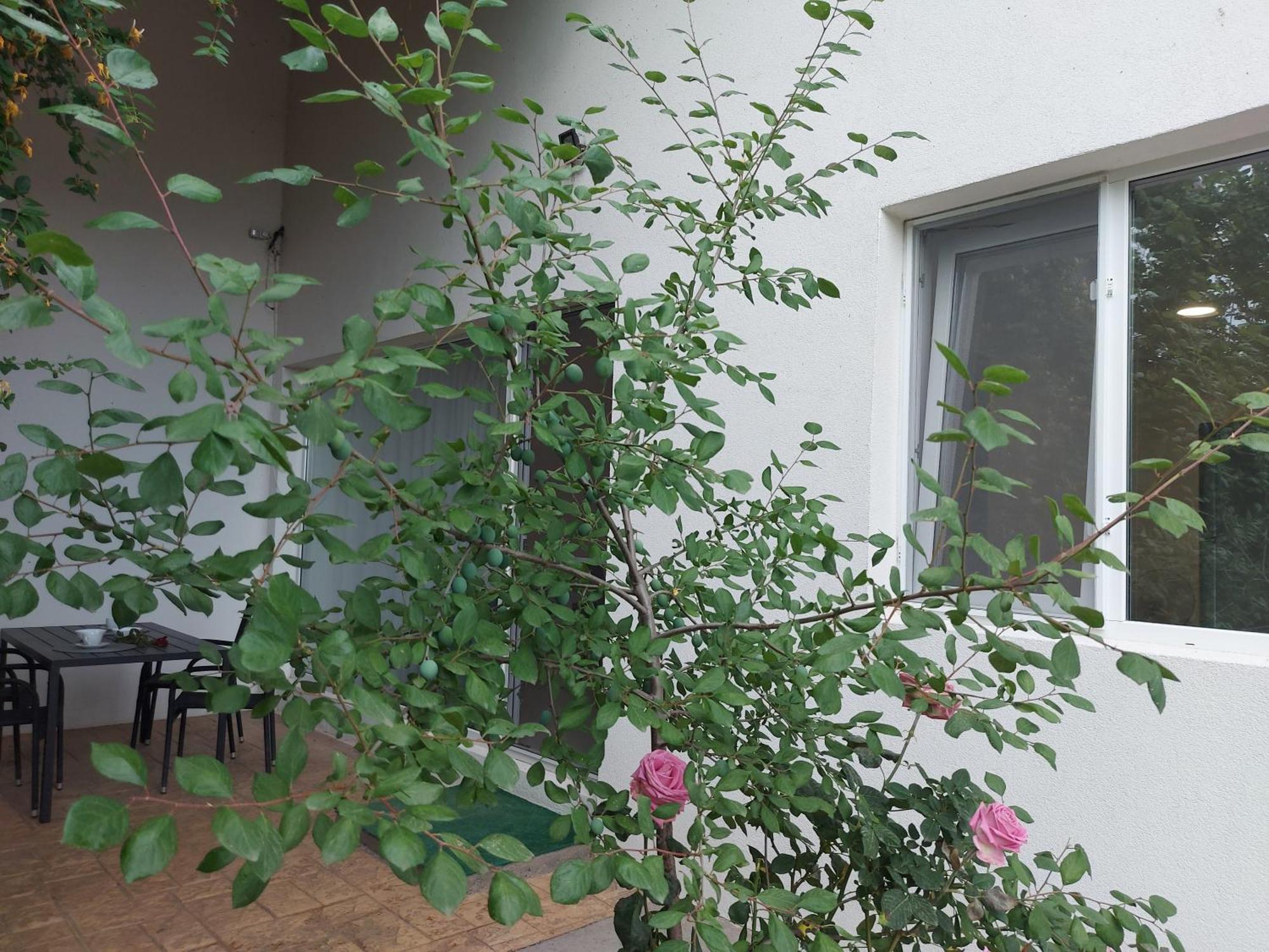 Villa Romelia - Select