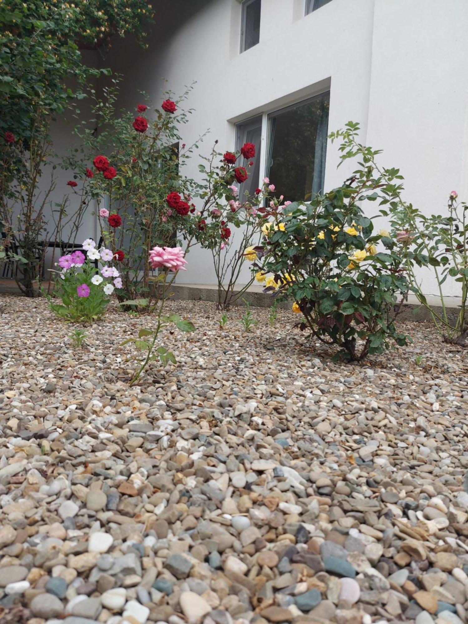 Villa Romelia - Select *