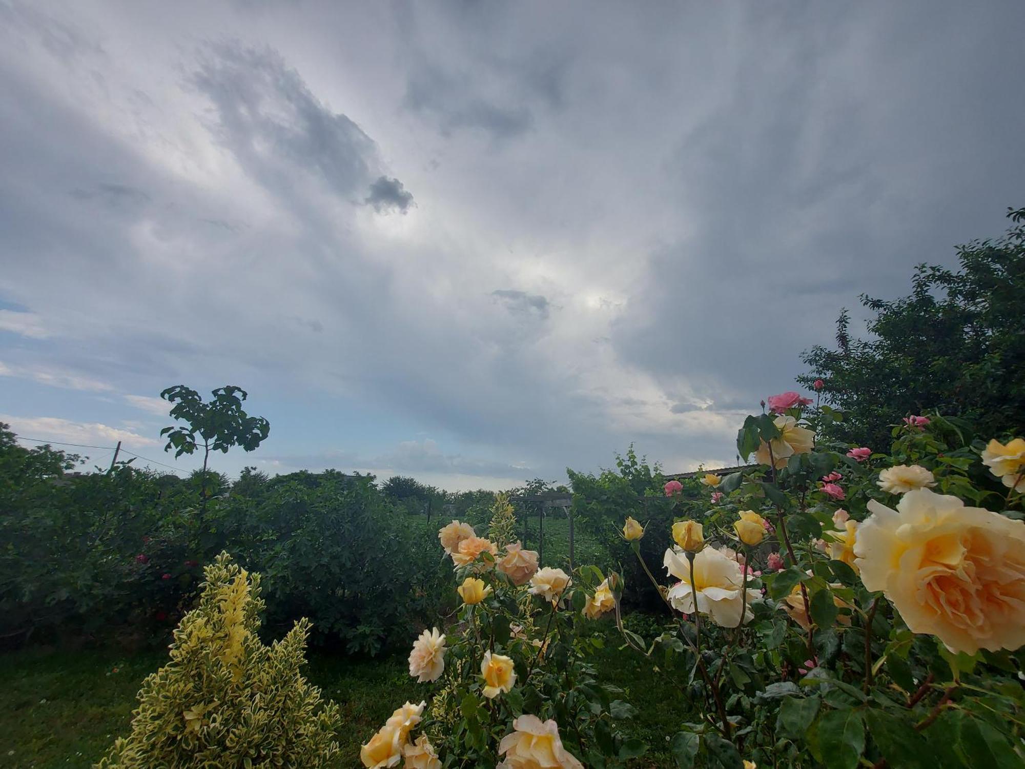 Romelia - Select Villa Vadu